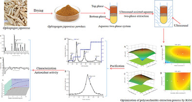 Ultrasound Assisted Aqueous Two-Phase Extraction of Polysaccharides from Ophiopogon japonicus: Process Optimization, Structure Characterization, and Antioxidant Activity