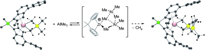 Heterobi- and -trimetallic Ion Pairs of Zirconocene-Based Isoselective Olefin Polymerization Catalysts with AlMe3