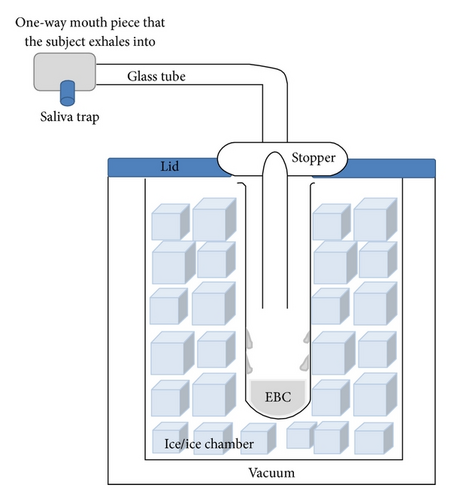 Details are in the caption following the image