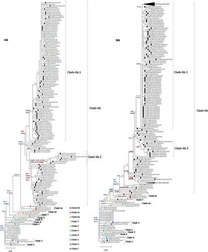 Details are in the caption following the image Details are in the caption following the image
