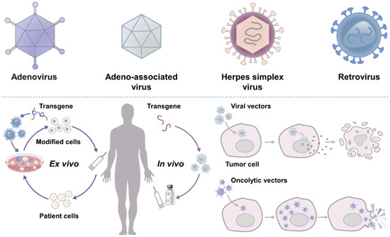 Viral vector-based cancer treatment and current clinical applications