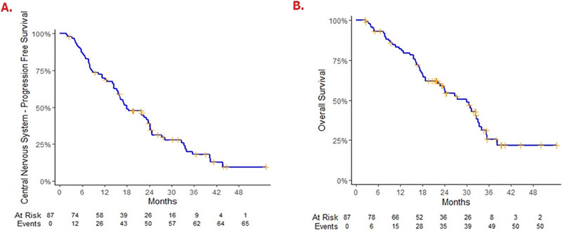 The Effectiveness of Afatinib as First-Line Treatment in Vietnamese Patients With EGFR-Mutant Non–Small Cell Lung Cancer and Brain Metastases