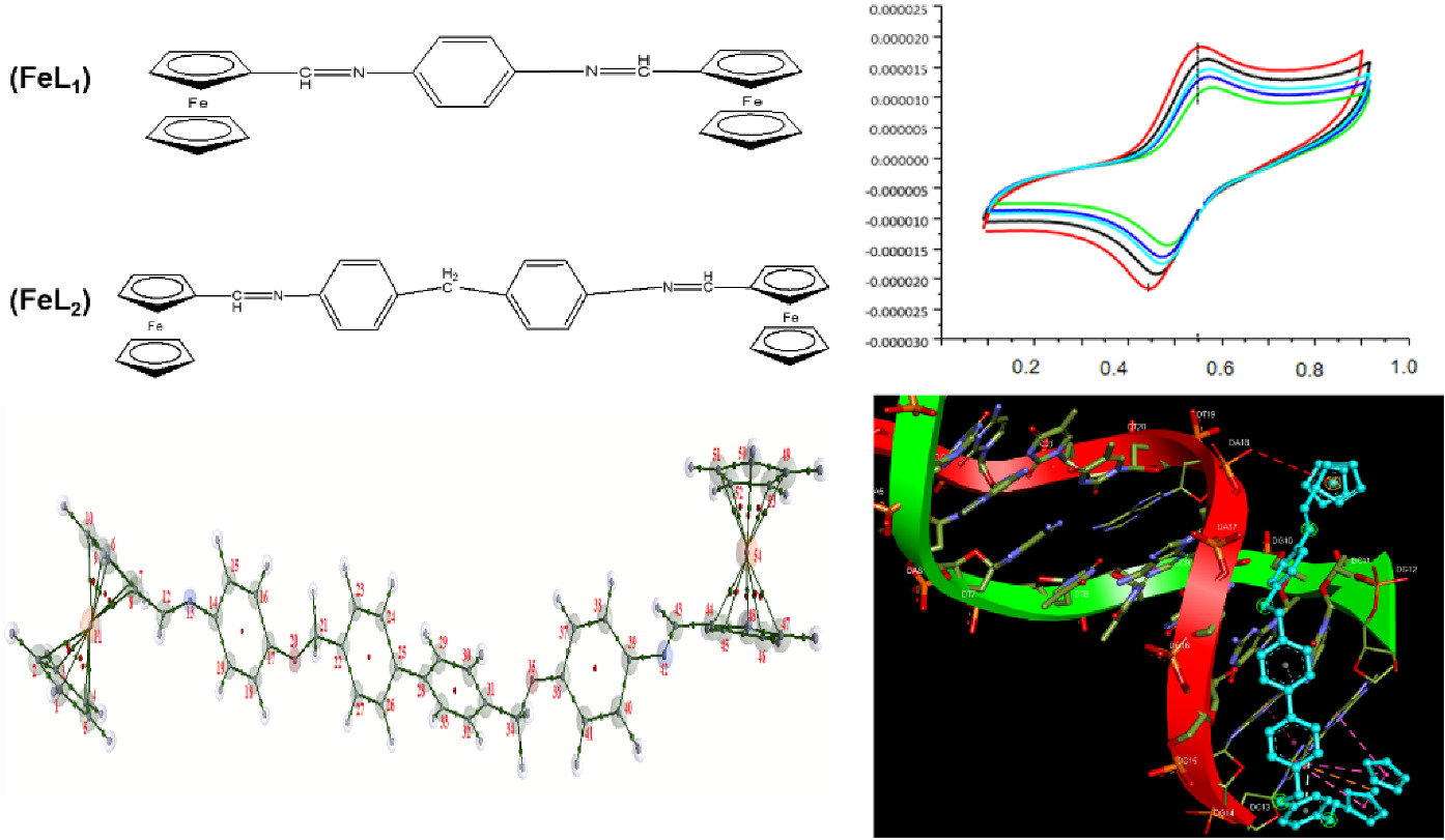Nonlinear optical behavior of non-centrosymmetric biferrocenyl Schiff-base derivatives and their DNA binding potential supported by DFT and electrochemical investigations