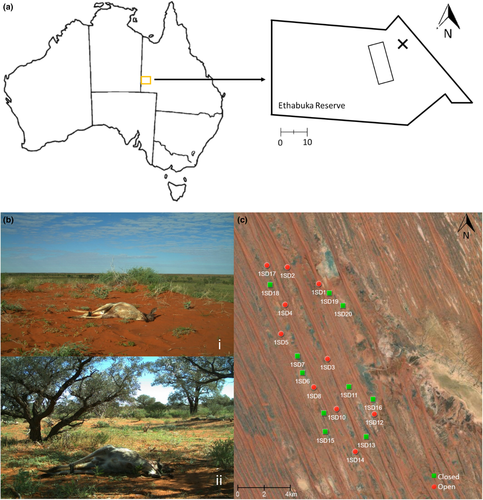 Details are in the caption following the image Details are in the caption following the image