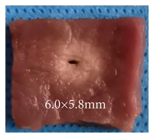Details are in the caption following the image Details are in the caption following the image