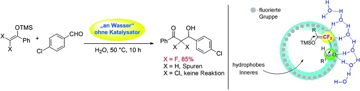 Highly Efficient “On Water” Catalyst-Free Nucleophilic Addition Reactions Using Difluoroenoxysilanes: Dramatic Fluorine Effects