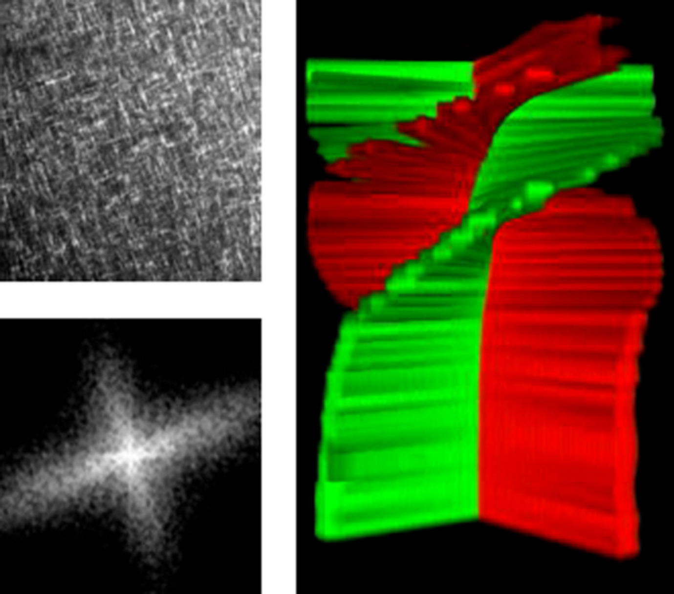 Quantification of collagen structural changes during chick corneal development