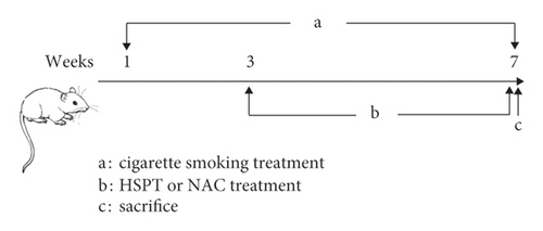 Details are in the caption following the image Details are in the caption following the image