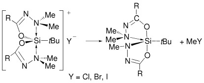 An Unexpected, Sterically Driven, Methyl Halide Elimination in Pentacoordinate Siliconium Halide Salts: Silicon Complexes with Equatorial Nitrogen Coordination