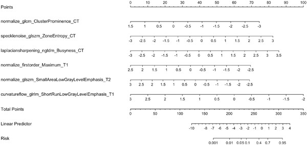 Establishment and verification of a radiomics nomogram to predict distant metastasis in patients with descending type of nasopharyngeal carcinoma