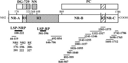 Details are in the caption following the image Details are in the caption following the image