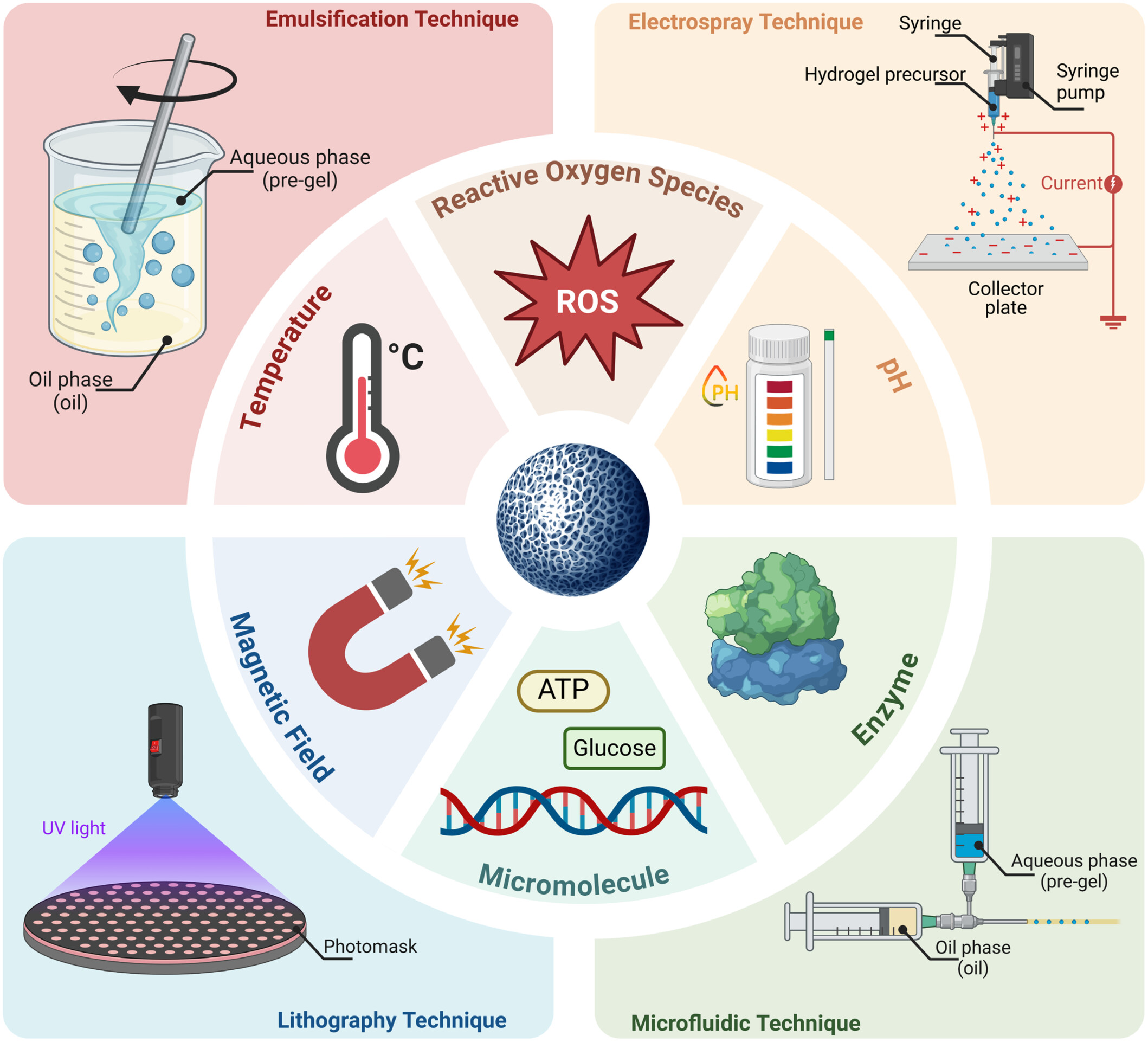 Emerging Trends in Injectable Stimuli-Responsive Hydrogel Microspheres: Design Strategies and Therapeutic Innovations Issue 2, 2025