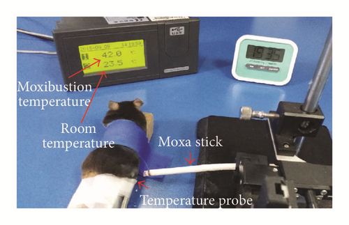 Details are in the caption following the image