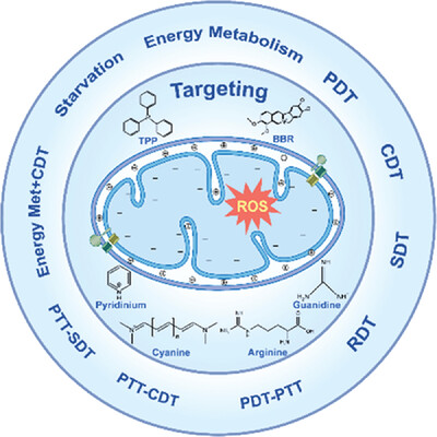 Unraveling mitochondria-targeting reactive oxygen species modulation and their implementations in cancer therapy by nanomaterials