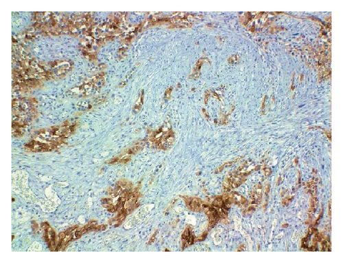 Details are in the caption following the image