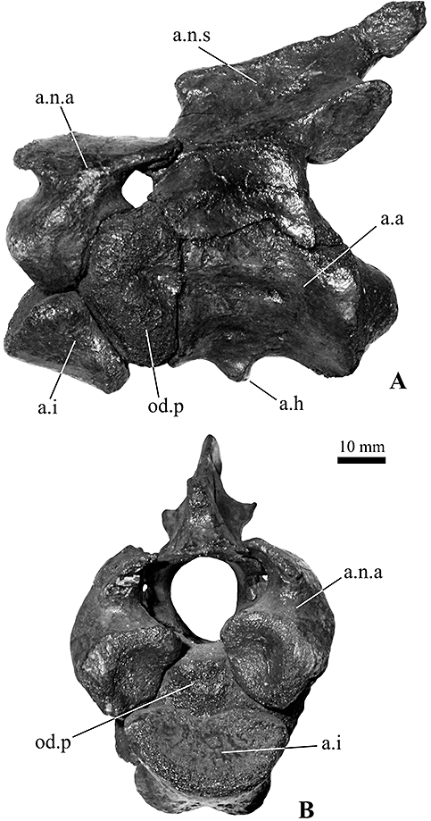 Details are in the caption following the image Details are in the caption following the image