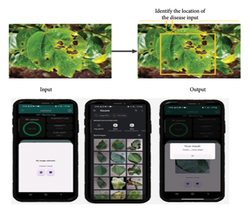 Details are in the caption following the image Details are in the caption following the image