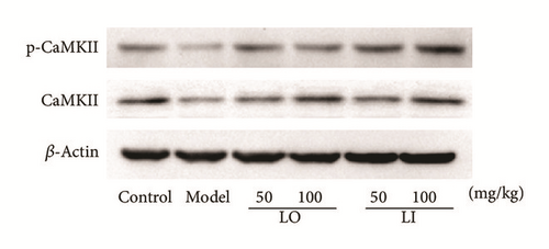 Details are in the caption following the image