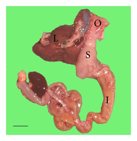 Details are in the caption following the image