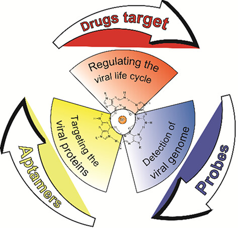 Unlocking G-Quadruplexes as Targets and Tools against COVID-19