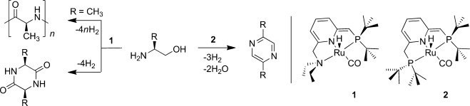Synthesis of Peptides and Pyrazines from β-Amino Alcohols through Extrusion of H2 Catalyzed by Ruthenium Pincer Complexes: Ligand-Controlled Selectivity