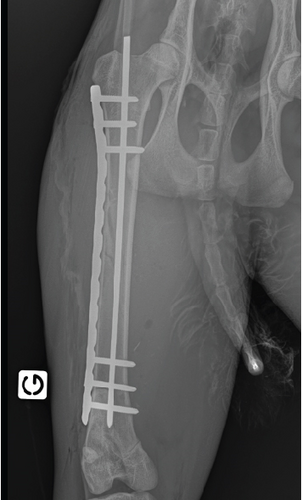 Details are in the caption following the image