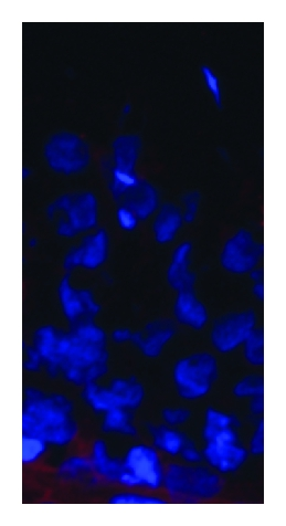 Details are in the caption following the image