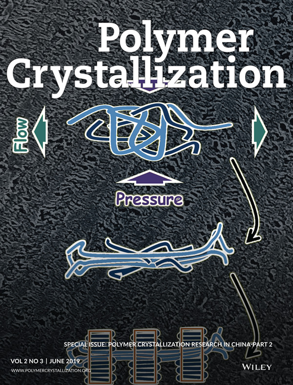 Cover Image: Role of pressure in flow-induced shish-kabab in binary blend of long- and short-chain Polyethylenes Volume 2 Issue 3, 2019