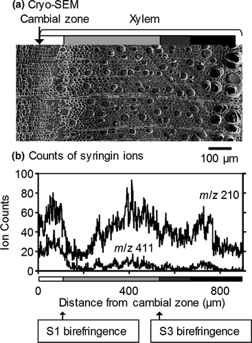 Details are in the caption following the image
