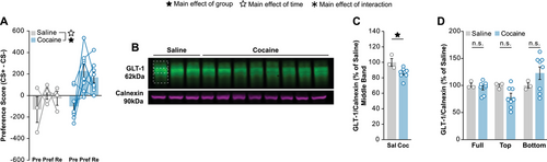 Details are in the caption following the image Details are in the caption following the image