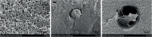 Details are in the caption following the image