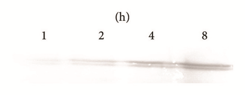 Details are in the caption following the image