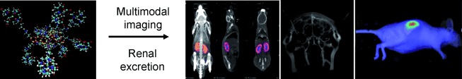 Ultrasmall Rigid Particles as Multimodal Probes for Medical Applications