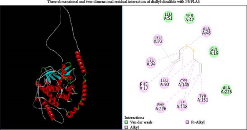 Details are in the caption following the image Details are in the caption following the image