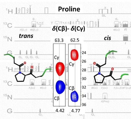 Selective 1Hα NMR Methods Reveal Functionally Relevant Proline cis/trans Isomers in Intrinsically Disordered Proteins: Characterization of Minor Forms, Effects of Phosphorylation, and Occurrence in Proteome
