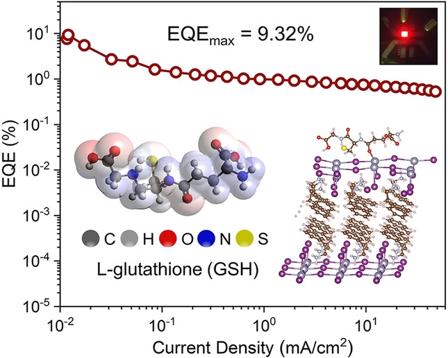 Ligand Engineering Enables Efficient Pure Red Tin-Based Perovskite Light-Emitting Diodes