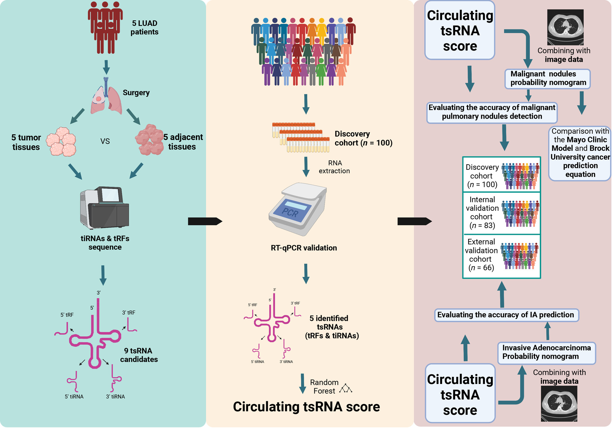Noninvasive diagnosis of pulmonary nodules using a circulating tsRNA-based nomogram