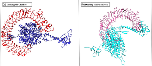 Details are in the caption following the image Details are in the caption following the image