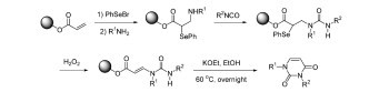 A Novel Approach for the Solid-Phase Organic Synthesis of 1, 3-Disubstituted Uracils