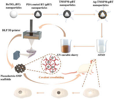 3D-Printed Piezoelectric Scaffolds with Shape Memory Polymer for Bone Regeneration