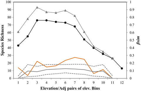 Birds in the Himalayas: What drives beta diversity patterns along an elevational gradient?