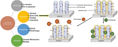 The Interplay of Growth Mechanism and Properties of ZnO Nanostructures for Different Applications