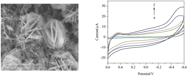 Hydrogen Peroxide Sensor Based on Carbon Nanotubes/β-Ni(OH)2 Nanocomposites