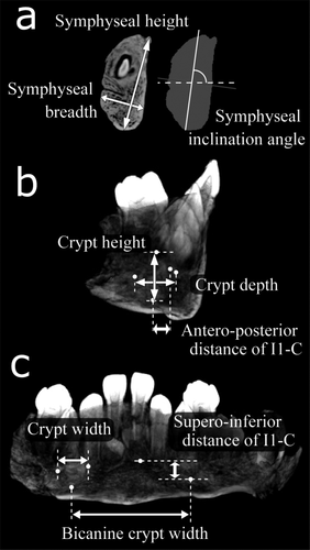 Details are in the caption following the image