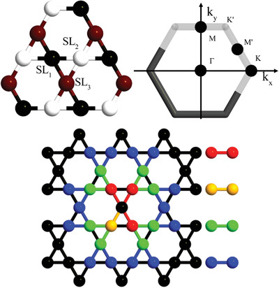 Spin Dynamics and Dirac Nodes in a Kagome Lattice