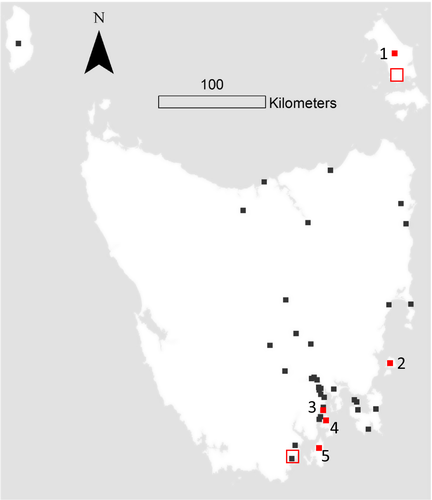 Details are in the caption following the image