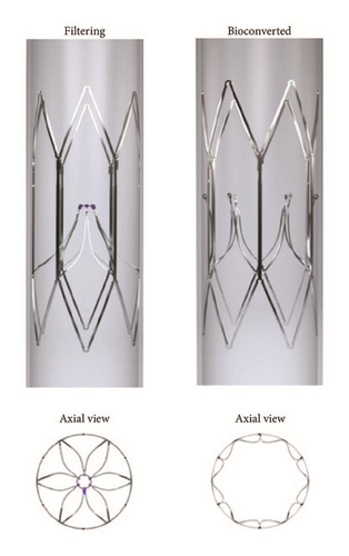 Details are in the caption following the image Details are in the caption following the image
