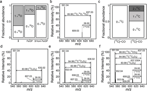 Details are in the caption following the image Details are in the caption following the image