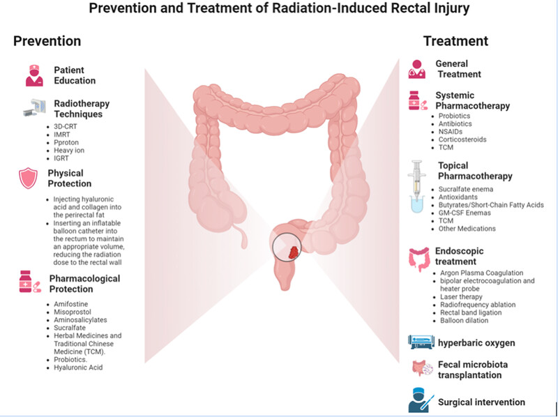 Chinese clinical practice guidelines for the prevention and treatment of radiation-induced rectal injury