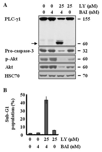 Details are in the caption following the image